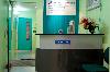 The Bunny Teeth Pediatric dental clinic -