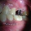 Odontia Dentistry -