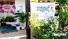 Vikalp Physiotherapy Clinic -