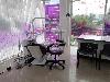 32 Dental Clinic -